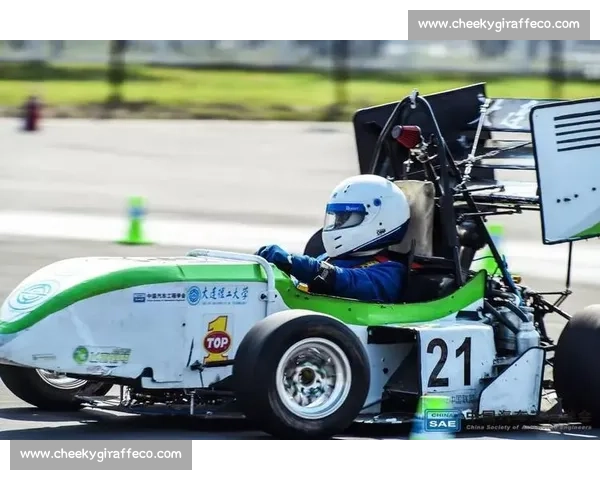 全球汽车竞技风云：探索世界顶级赛事与极速挑战的背后魅力