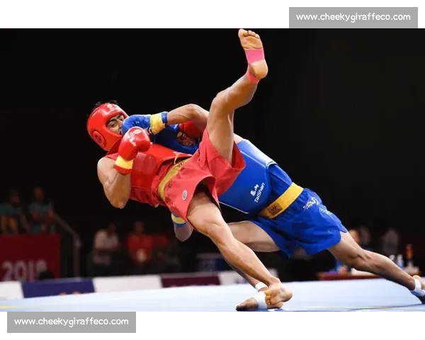 国内顶尖散打赛事精彩回顾与拳手巅峰对决全解析