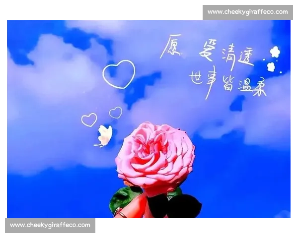 感情的世界无需较量用心经营真情才是最美风景 感情的世界无需较量用心经营真情才是最美风景