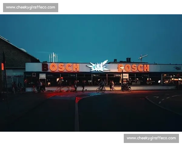 徕卡镜头下的光影世界摄影大赛精彩瞬间与创意展示 徕卡镜头下的光影世界摄影大赛精彩瞬间与创意展示