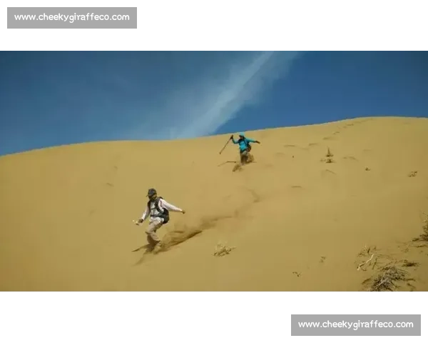 库布齐比赛激烈进行，展现沙漠挑战与智慧比拼的魅力