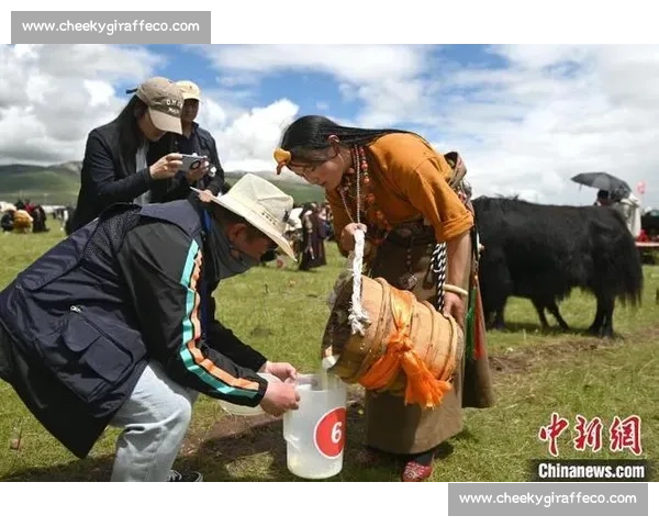 比赛挤奶挑战赛：牛奶生产速度与技巧的巅峰对决